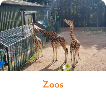 Zoos