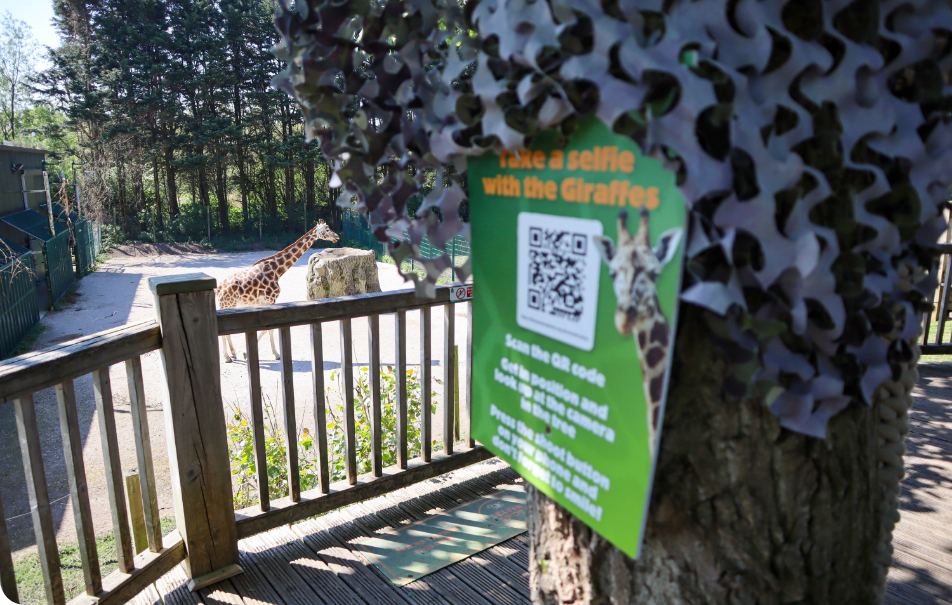 Zoo guest experience